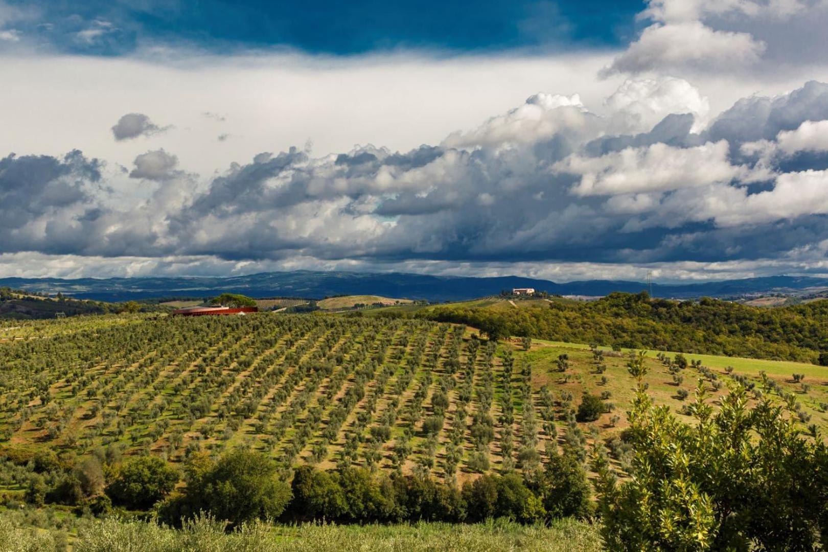 Tenuta Di Montecucco - Collemassari Hospitality Cinigiano المظهر الخارجي الصورة