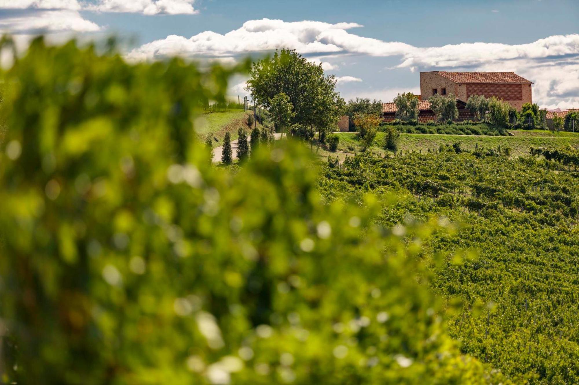 Tenuta Di Montecucco - Collemassari Hospitality Cinigiano المظهر الخارجي الصورة